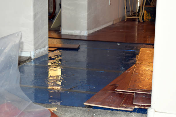 Professional Storm Water Damage Restoration technician working in Prospect, OR